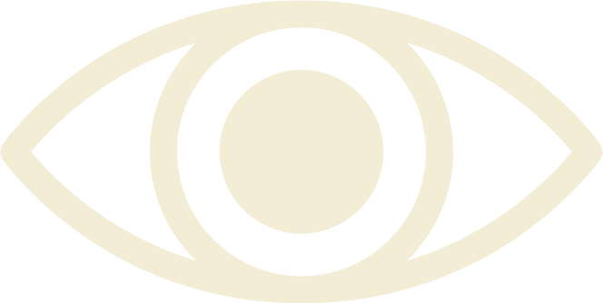 Our Vision